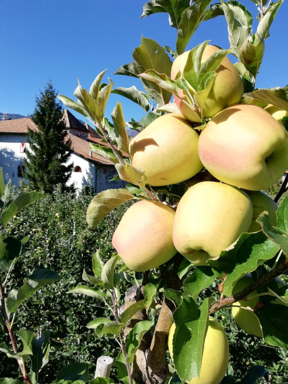 Agritur Ciastel Villa Sanzeno Bagian luar foto